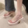 Fashion Shoes Square Heel Transparent Slippers Slipers Women Luxury Slides Heeled Mules Platform Block Summer 2025 Designer High