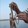 Kampvuur Statief Bord met Ketting, Takken Veranderen in Kampvuur Statief, Roestvrij Staal Kampvuur Ondersteuningsplaat, Draagbare Kookaccessoires voor
