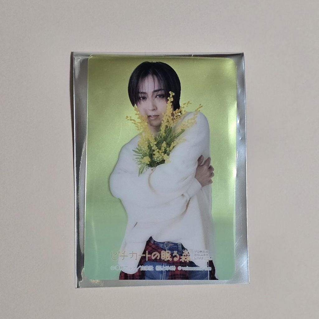 [USED] Shouta Aoi trading cards