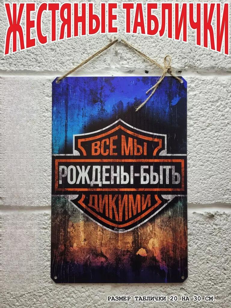 Dreams Come True Motivational Metal Poster, Wish Fulfillment Wall Art Decor