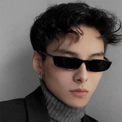 New Fashionable Versatile European And American Cat Eye Sunglasses Casual Hip-Hop Glassess Outdoor Travel Skiing Sun Glasses