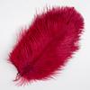 10Pcs Natural White Ostrich Feathers 10-15cm 15-20cm 25-30cm 30-35cm Wedding Party Home Decoration Ostrich Plumes Craft Supplies