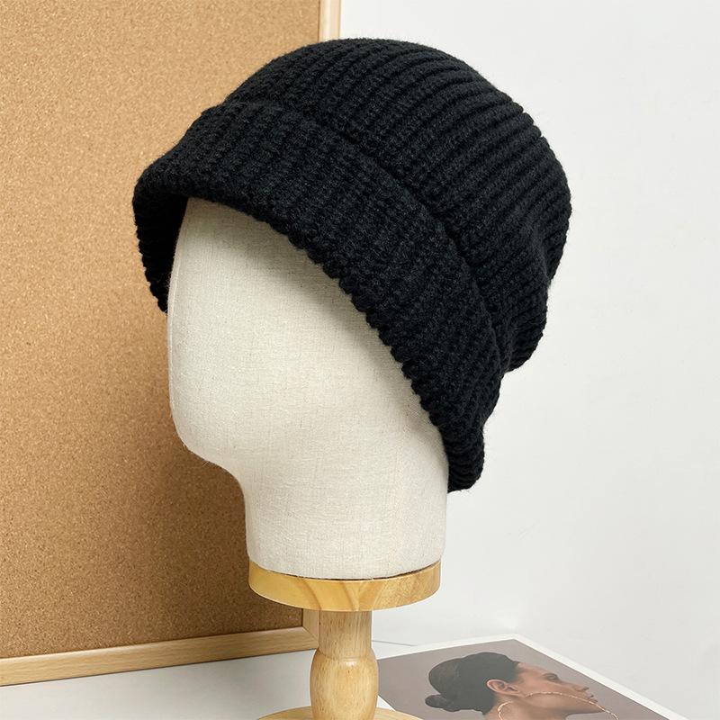 Knitted Fisherman's Hat Women's Autumn and Winter Loose Warm Beret Pile Hat Wool Hat