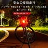 Bicycle Tail Light LED Bicycle Light Battery Operated High Brightness