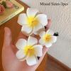 Bohemian Floral Hair Clips Fashion Plumeria Flower Hair Clips Aesthetic Hairpins Egg Flower Barrette Party Bag Hair Accessories