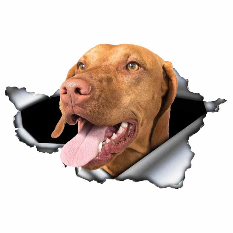 

Stickers Blue Pitbull Car Sticker Creative Torn Metal Decal Waterproof Car Styling Pet Car Decoration 13CM