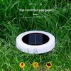 Dual-Use Solar Garden and Yard Lights for Pathways and Landscapes