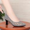 Fashion Summer Single Shoes Mesh Breathable Versatile High Heels Women's Shoes Middle-Aged Temperament Pointed Toe Shallow Mouth Shoes