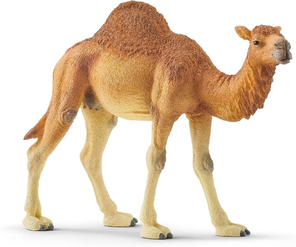 Schleich Wildlife Dromedary Figure 14832