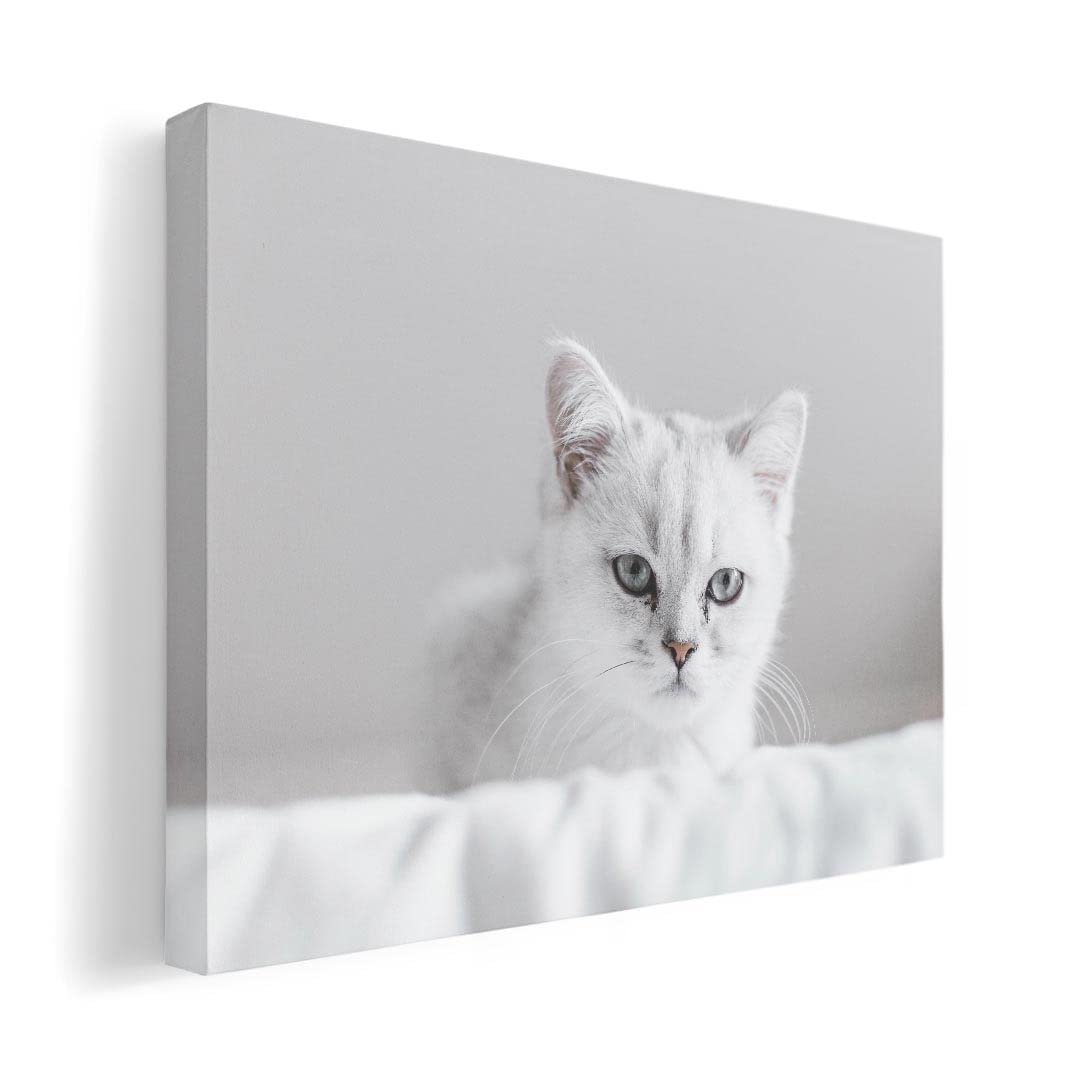 

Art 420mm x Wall Wooden Stylish Interior Animal Photo Panel, Painting, Decoration, igsticker, 297mm, A3, Photo, Hanging, Frame, Decor, 023093, Cat,