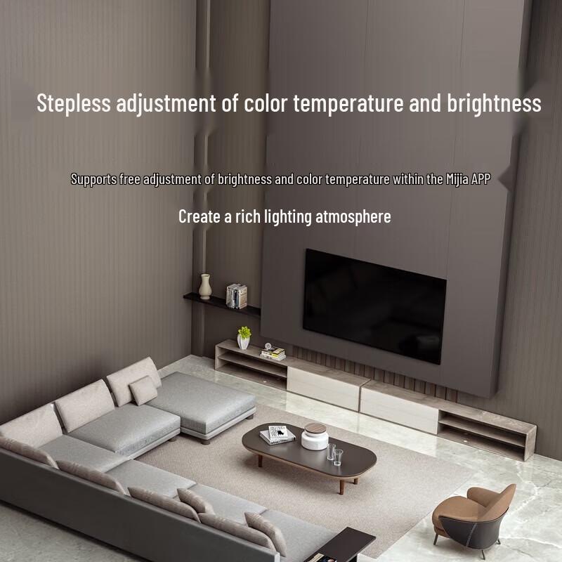 Xiaomi Smart Ceiling Light Pro (CN Version)