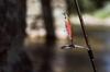 Bass Lure Flat Heavy Minnow Sinking 40mm Ghost Smelt YO-ZURI 3DR-X Color