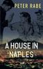 The A House In Naples Book