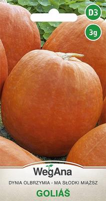 Golias Giant Pumpkin 3g Zucchini Pumpkin Seeds -