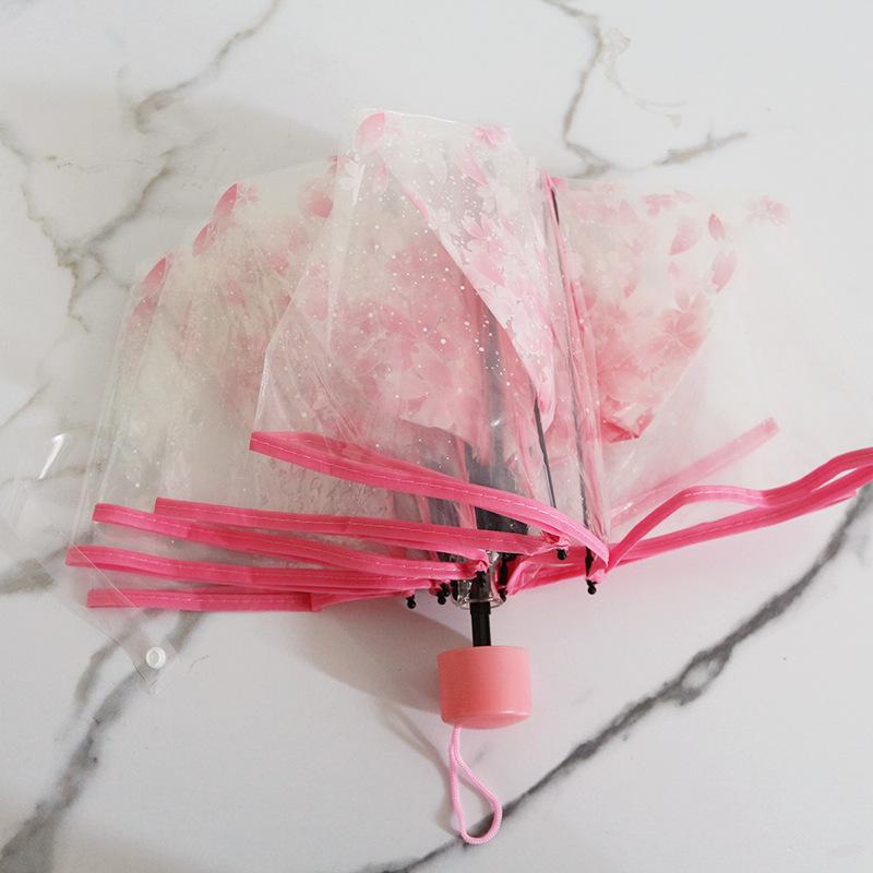 Dual-Use Automatic Transparent POE Umbrella - Xiaohongshu Style with Cats and Dogs Design