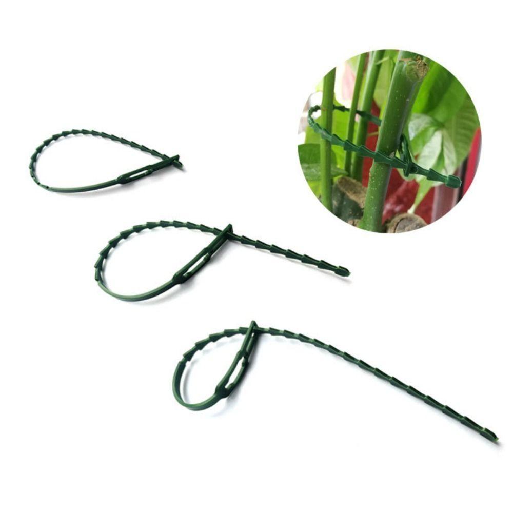 

100pcs Self-locking Plastic Plant Ties Garden Multi-Function Clip 2024 Cable Ties 13cm
