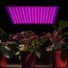 45W Indoor Grow Lights with Hook LED Grow Light Red Blue LED Full Spectrum Plant Lamp for Indoor Gardening Vegetables Grow Tent