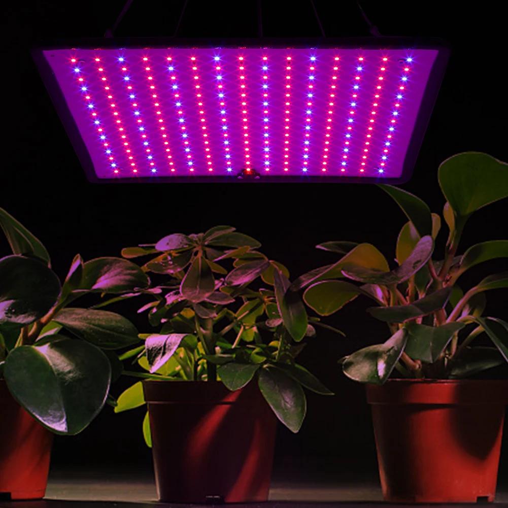 45W Indoor Grow Lights with Hook LED Grow Light Red Blue LED Full Spectrum Plant Lamp for Indoor Gardening Vegetables Grow Tent