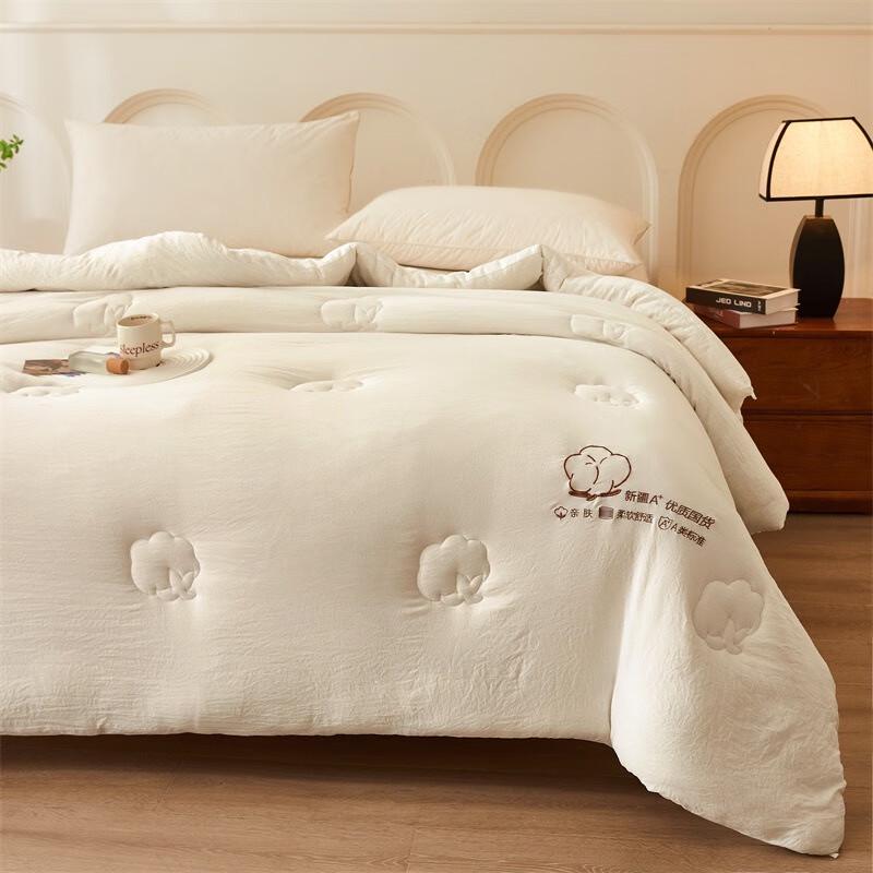 JieLiYa Xinjiang Washed Cotton Winter Quilt