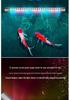 LED Fish Tank Light: Waterproof, Super Bright, Submersible Aquarium Light for Arowana.