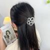 Headwear Acetate Hair Clip Hairpin Hair Grab Creative Hollow Flower  Hair Claws  Streetwear