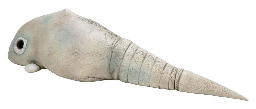Character Content Production Special Effects Series Ultraman 2D Monster Gavadon Approximately 420mm PVC Soft Vinyl Figure (Ccp) 1/6 (A) Pre-painted