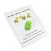 62KD Turtles Pockets Hug Decorations With Greeting Card Distance Social Gift Birthday