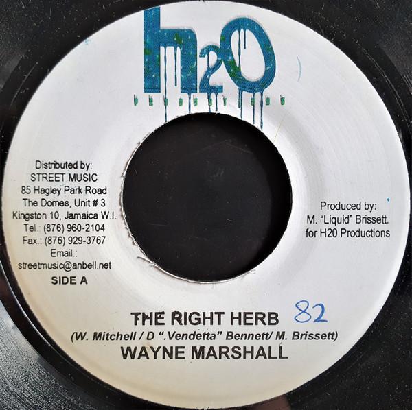 

7-дюймовая пластинка WAYNE MARSHALL - The Right Herb NONE H2O Productions 2005 Ямайка Регги, Ска и Даб Б/У