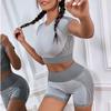 2024 Quick-Dry Women's Yoga & Running Two-Piece Set: Short-Sleeve Top & High-Waisted Seamless Fitness Shorts