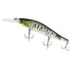 Floating Topwater with Rattle for Long Fishing, Hard Artificial