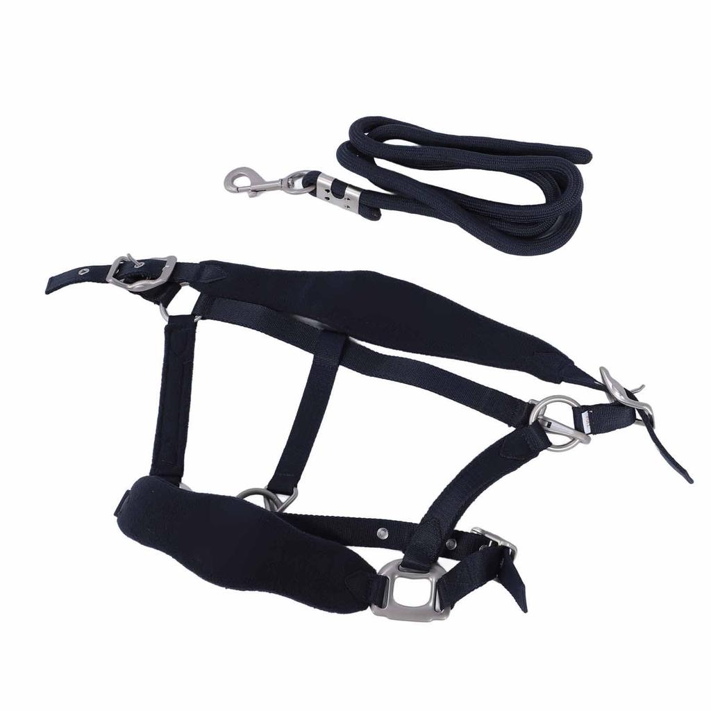 Horse Halter Set Prevent Rubbing Adjustable Horse Training Halter with 2m Horse Leash for Training Daily