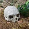 Fish Tank Aquarium Skull Decoration Breeding House Simulation Resin Cranium Statue Spider Scorpion Lizard Shelter Home Ornament