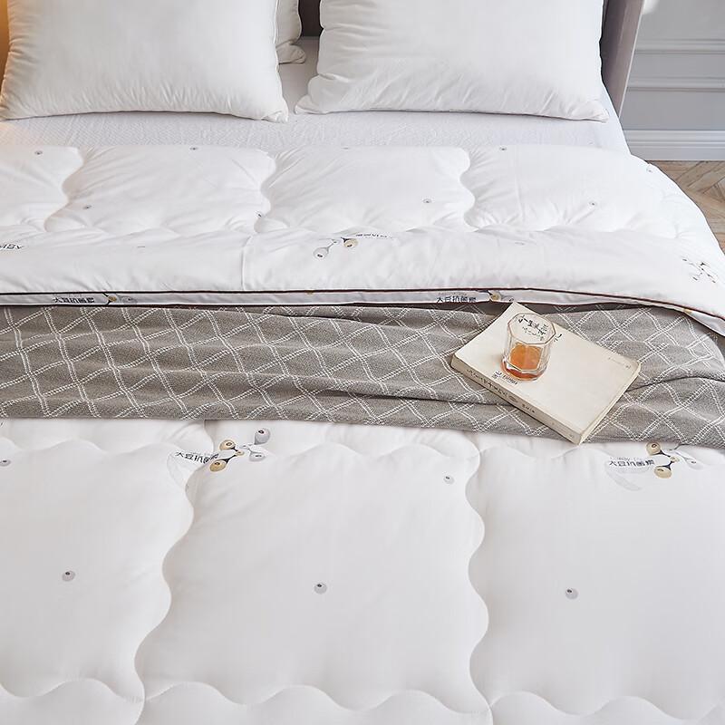 All-Season Soybean Fiber Blend Comfort Quilt