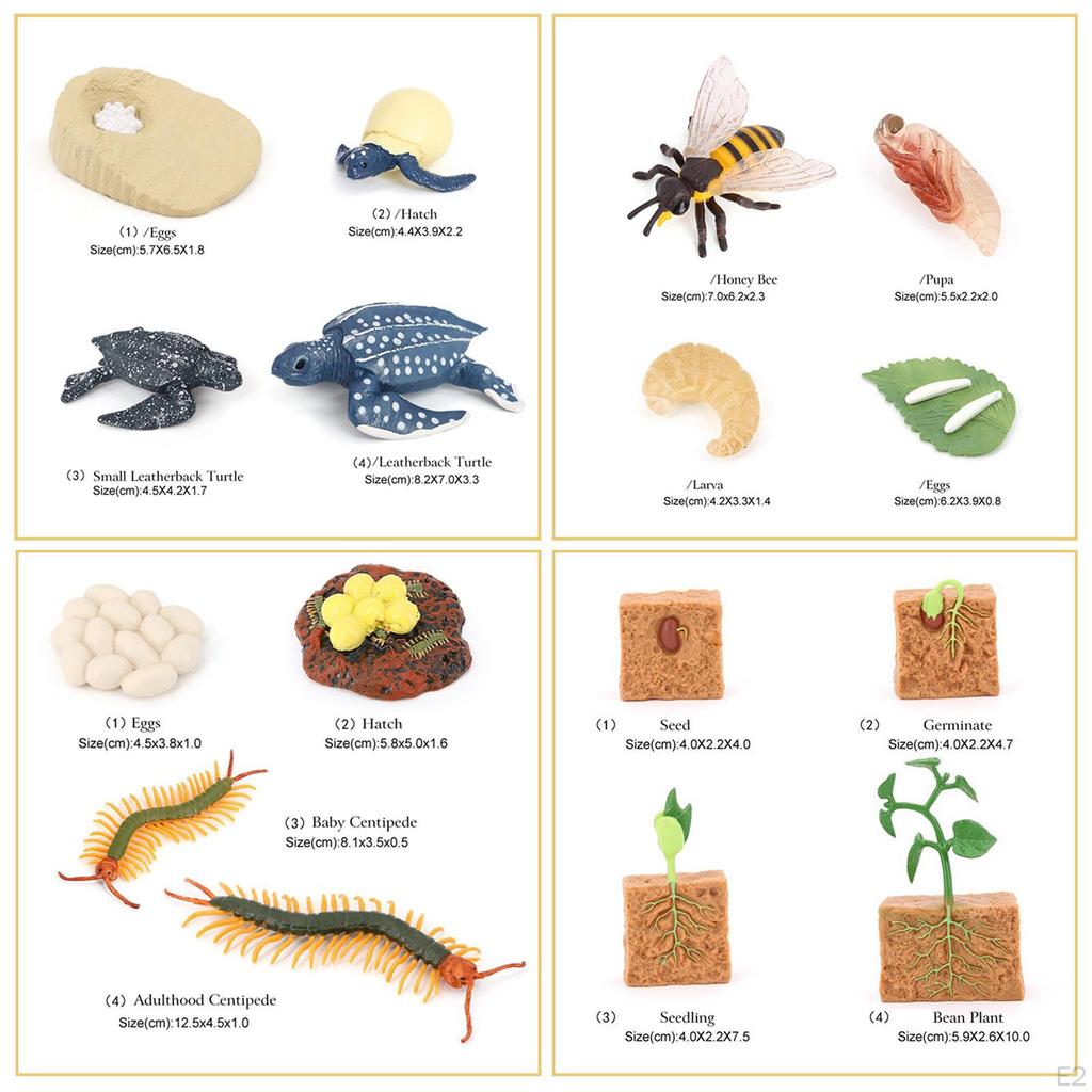 The World of Nature with Interactive STEM Toy Set