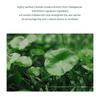 SKIN 1004 - Madagascar Centella Tea-Trica Relaxing Mask Set