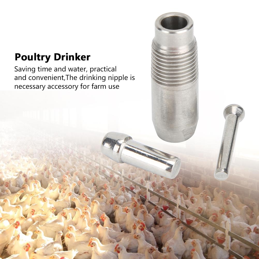 6 bucăți băutură automată de pui din oțel inoxidabil, rață, păsări de curte, mamelon, echipament de creștere