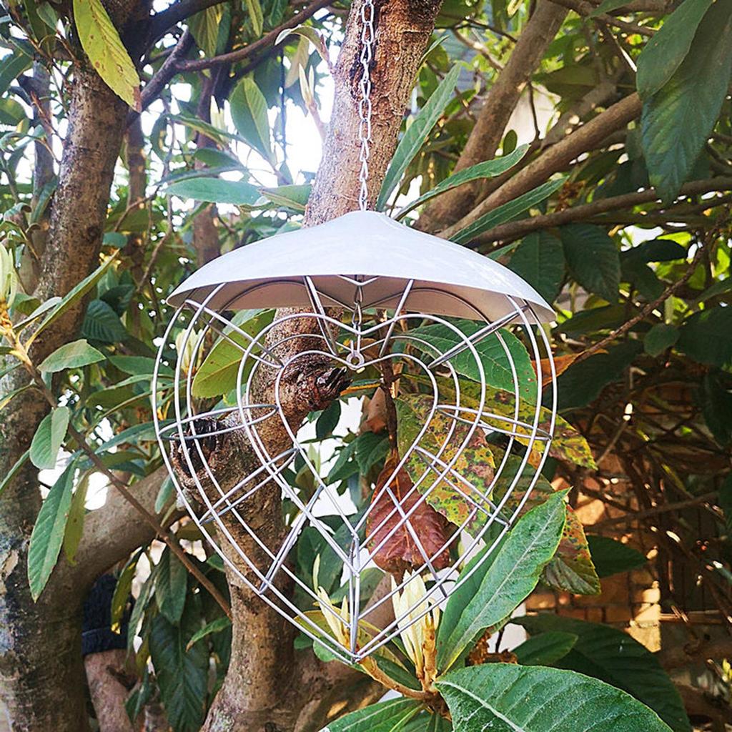 Hanging Feeder for Wild Birds Feeder Basket for Lovebirds Finches Canaries- Wild Bird Feeding Food Dispenser Storage