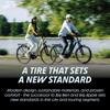 Schwalbe Motion Big Apple Clincher Tire 24x2.00 (Genuine Product) [Urban/Balloon Bike/City Riding]