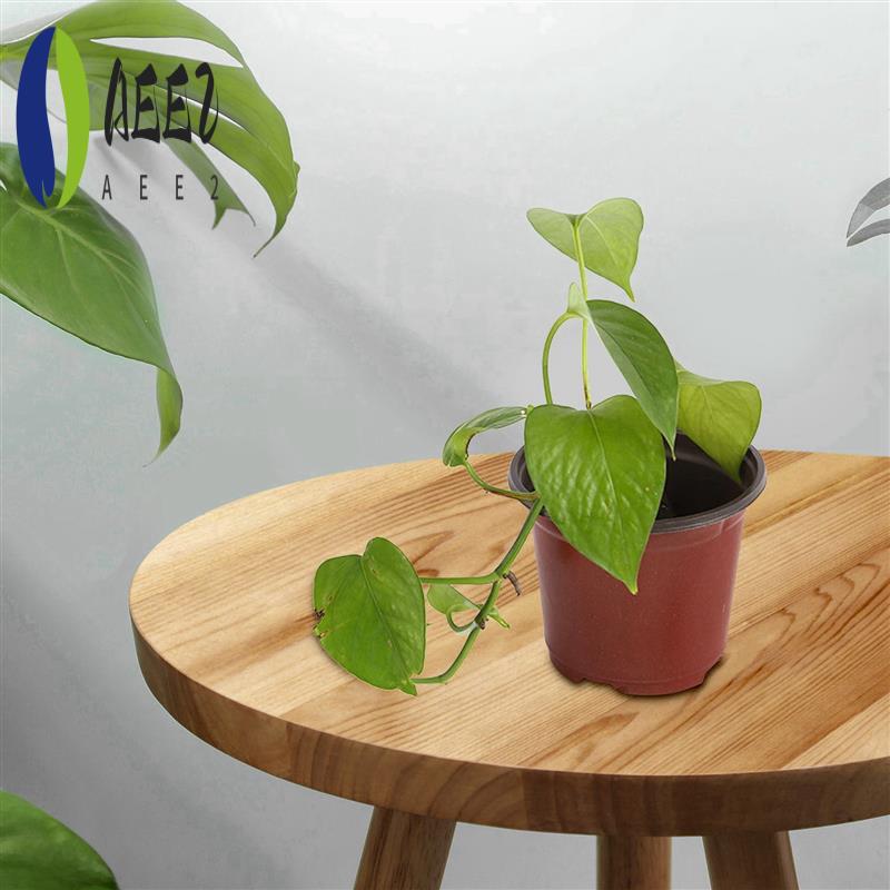 

AEE2-200Pcs Plastic Flower Seedlings Nursery Supplies Planter Pot/Pots Containers Seed Starting Pots Planting Pots