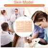 Skin Suture Operate Practice Model Reusable Skin Traumatic Suture Training Pad for Medical Student Suturing Exams Props