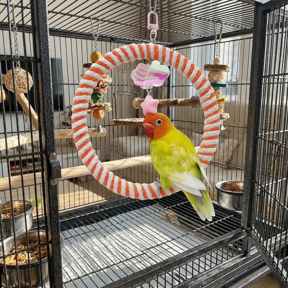 Wear-Resisting Bird Toy Swing Hanging Parrot Perch Multi-Function Parrot Swing Ring  Cockatiel