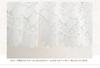 Arie Callister Cafe Rose Pattern Curtain, 150x100cm, White,