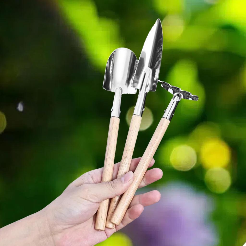 KERURU Gardening Succulent Bonsai Mini Stainless Steel with Matte Weeding and Transplanting Trowel Tools, Tools, Tools, 3-Piece Set, Shovel, Rake,