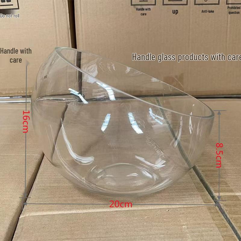 Raffinierte schräge Glasvase für elegante Aquarien & Hydrokultur-Ausstellungen