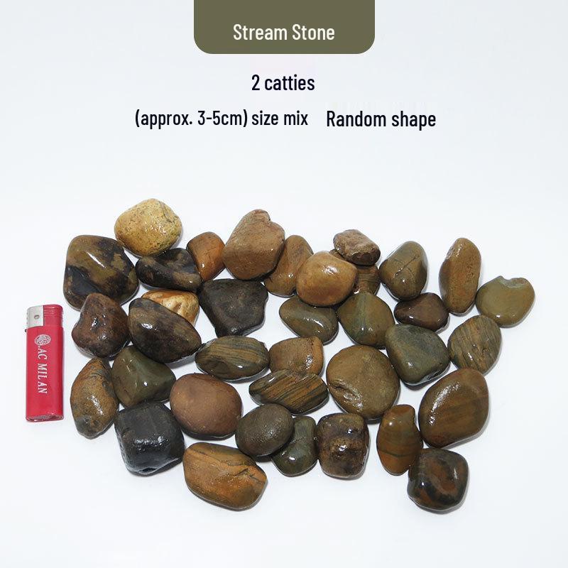 Azure Dragon Aquarium and Bonsai Landscaping Stone Set