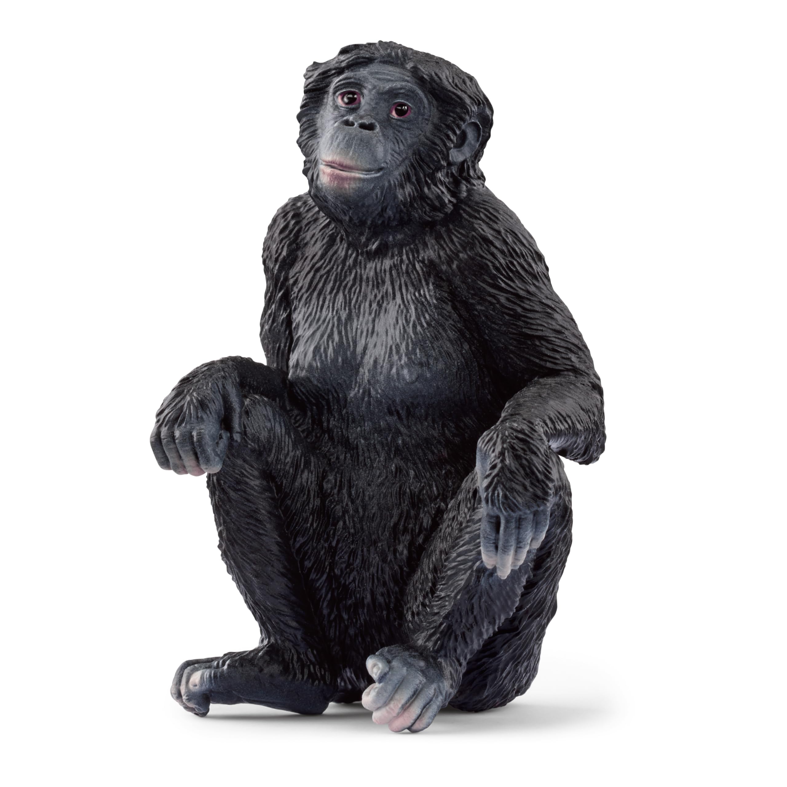 

Schleich Дикая природа Бонобо 14875 (женский пол)