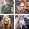 2PCS Small Pet Diapers,Adjustable Sugar Glider Diapers Climbing Diapers,Washable,Specially Designed for Use On Pet Squirrels Small Medium Guinea Pig.