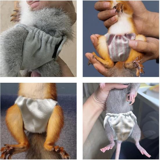 2PCS Small Pet Diapers,Adjustable Sugar Glider Diapers Climbing Diapers,Washable,Specially Designed for Use On Pet Squirrels Small Medium Guinea Pig.