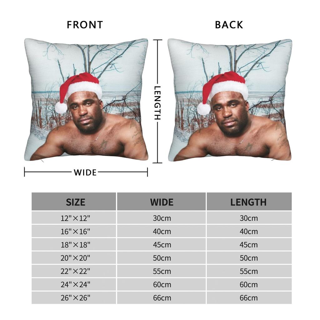 Decorative Pillow Cover Funny Barry Wood Meme Christmas Accessories Car Pillow Case Cover Zippered Multiple Sizes