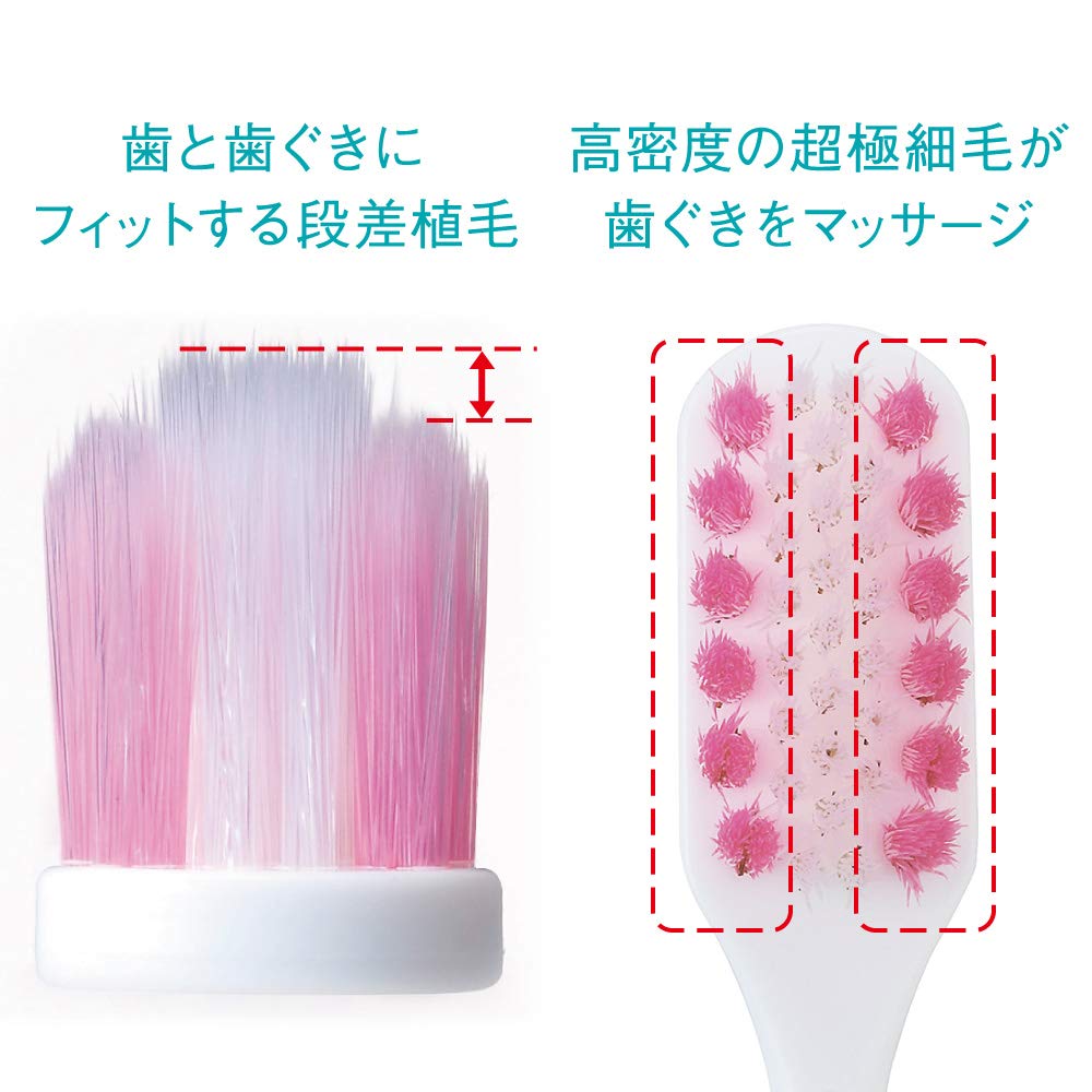Systema Gum Plus Toothbrush Compact Regular Set of 6